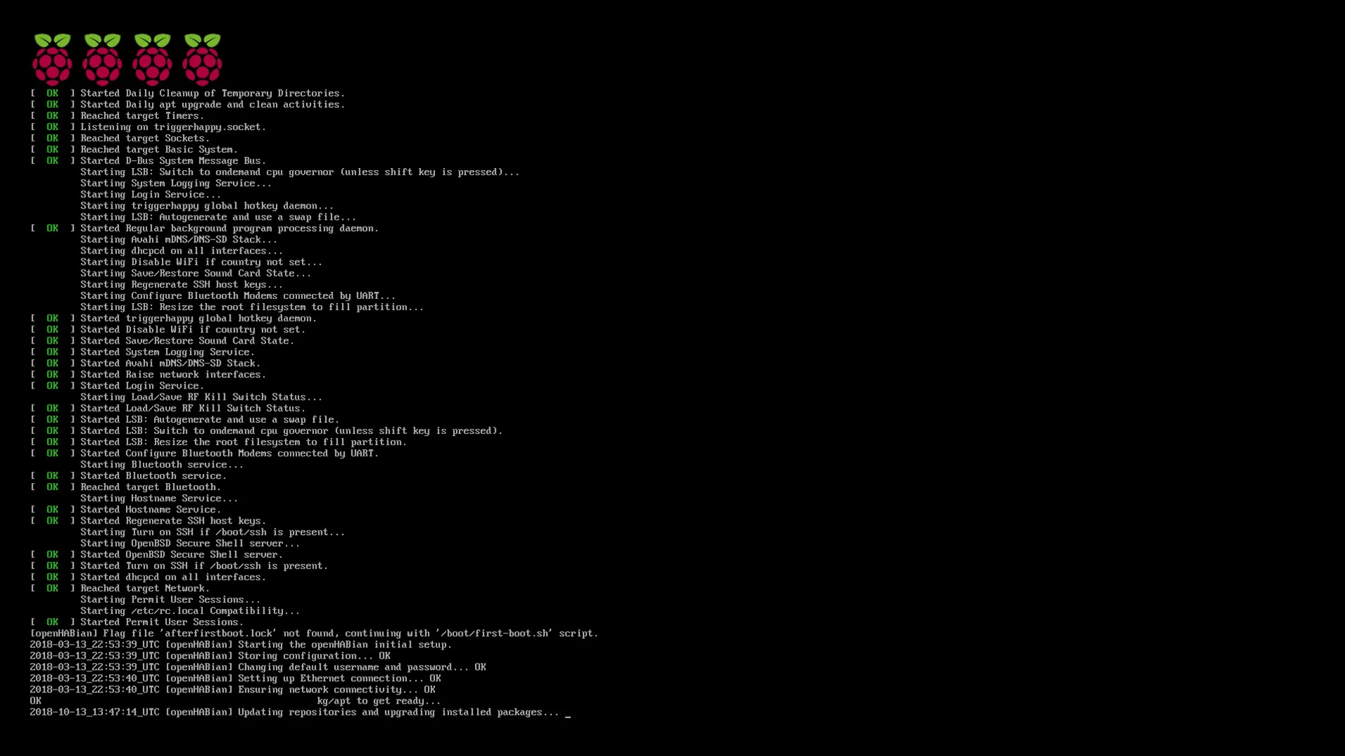 openHABian erster Bootvorgang auf dem Raspberry Pi